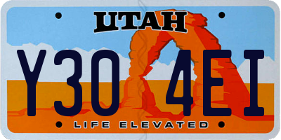 UT license plate Y304EI