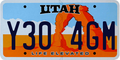 UT license plate Y304GM