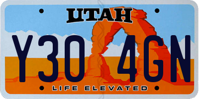 UT license plate Y304GN