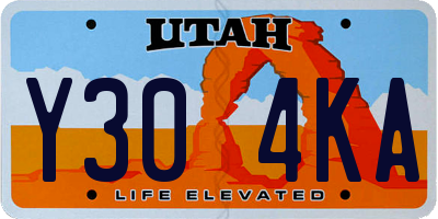 UT license plate Y304KA