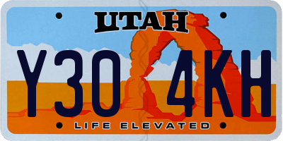 UT license plate Y304KH