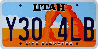 UT license plate Y304LB