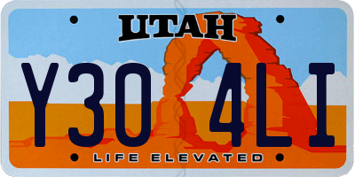 UT license plate Y304LI