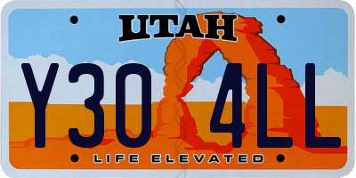 UT license plate Y304LL