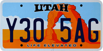 UT license plate Y305AG