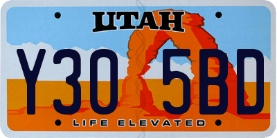 UT license plate Y305BD