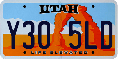 UT license plate Y305LD