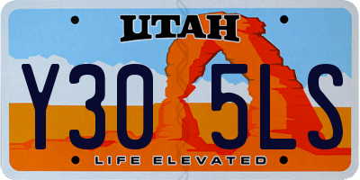 UT license plate Y305LS