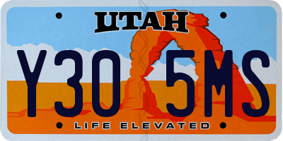 UT license plate Y305MS