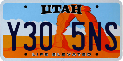 UT license plate Y305NS