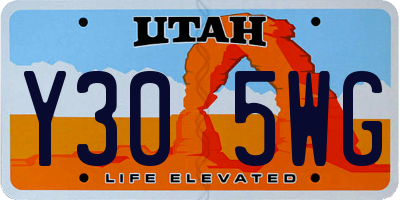 UT license plate Y305WG