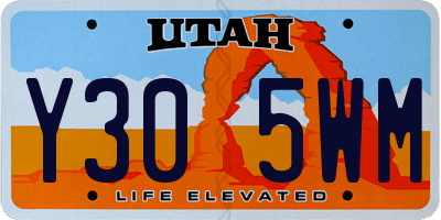 UT license plate Y305WM