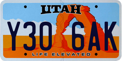 UT license plate Y306AK