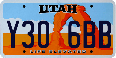 UT license plate Y306BB
