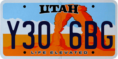 UT license plate Y306BG
