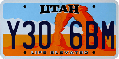 UT license plate Y306BM