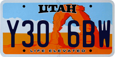 UT license plate Y306BW