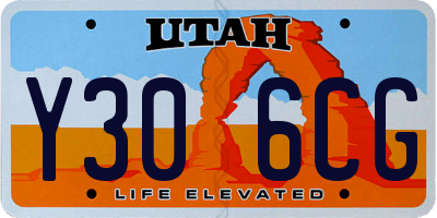 UT license plate Y306CG
