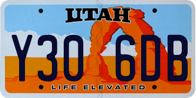 UT license plate Y306DB