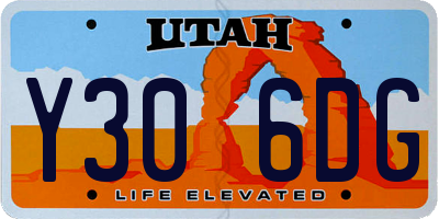 UT license plate Y306DG