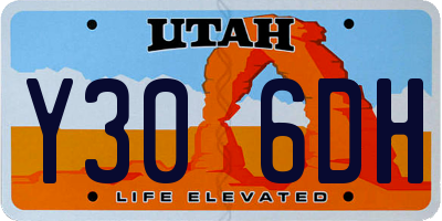 UT license plate Y306DH