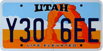 UT license plate Y306EE