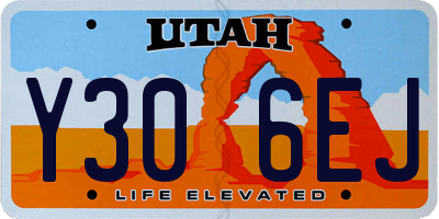 UT license plate Y306EJ