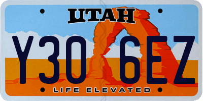 UT license plate Y306EZ