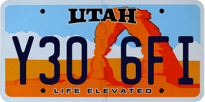 UT license plate Y306FI