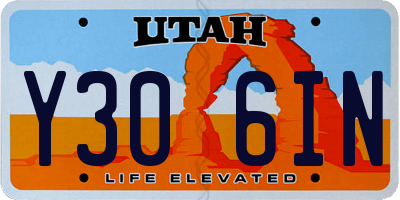 UT license plate Y306IN