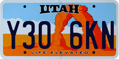 UT license plate Y306KN
