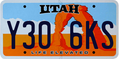UT license plate Y306KS