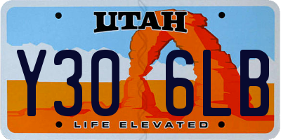 UT license plate Y306LB