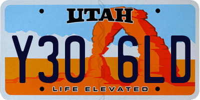 UT license plate Y306LD