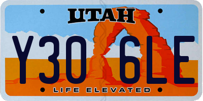 UT license plate Y306LE