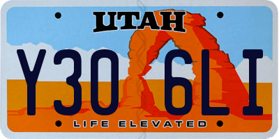 UT license plate Y306LI