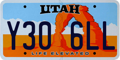 UT license plate Y306LL