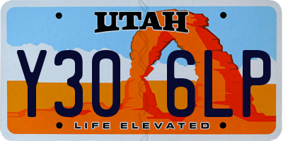 UT license plate Y306LP