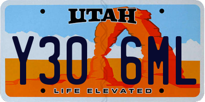 UT license plate Y306ML