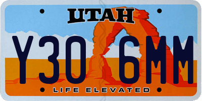 UT license plate Y306MM