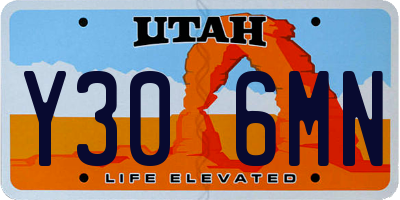 UT license plate Y306MN