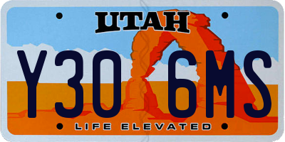 UT license plate Y306MS