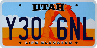 UT license plate Y306NL