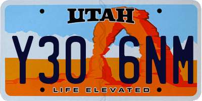 UT license plate Y306NM