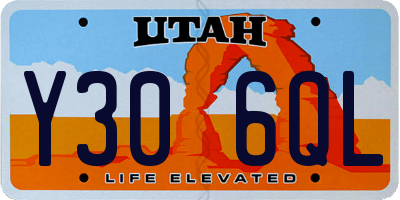 UT license plate Y306QL