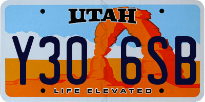 UT license plate Y306SB