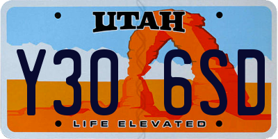 UT license plate Y306SD
