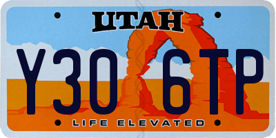 UT license plate Y306TP