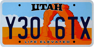 UT license plate Y306TX
