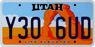 UT license plate Y306UD